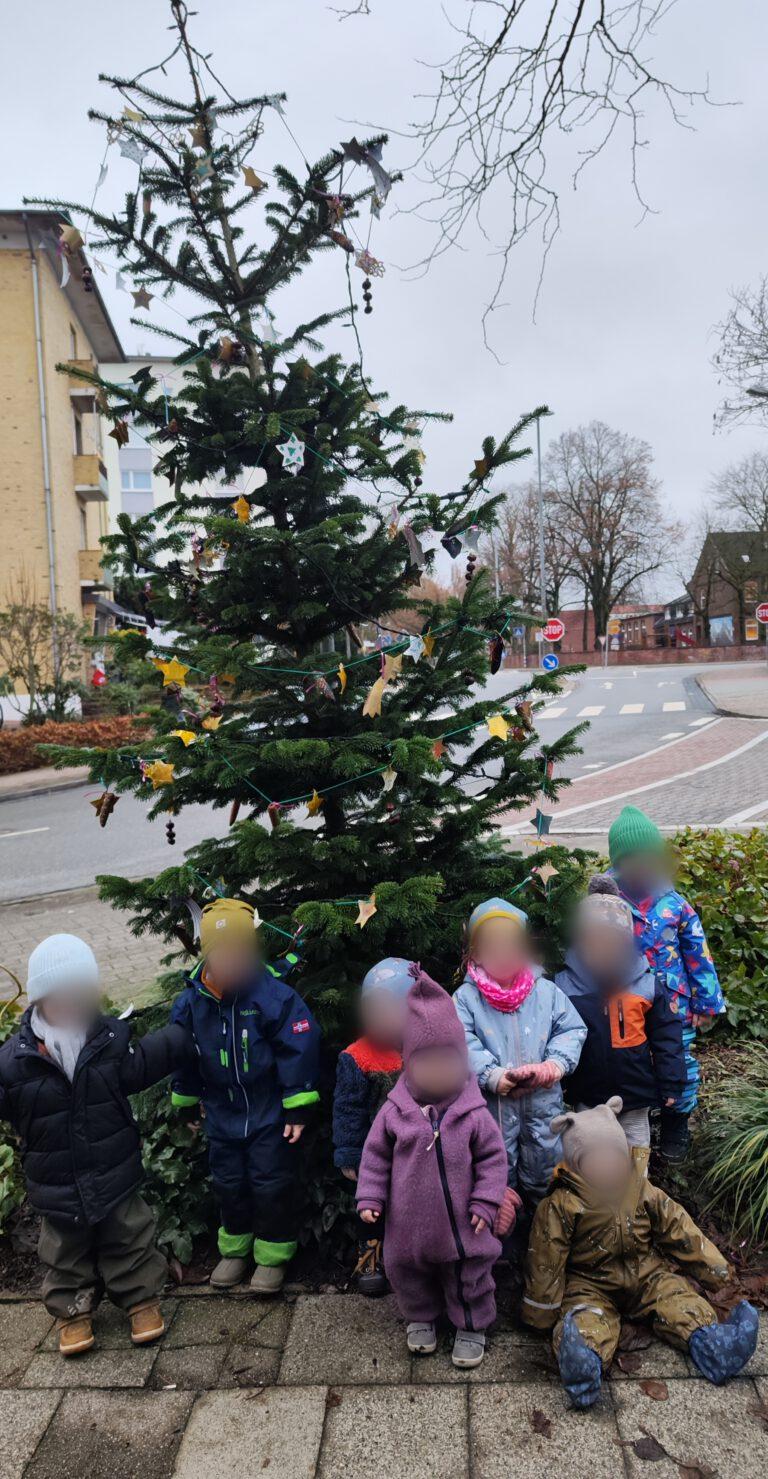 Mehr über den Artikel erfahren Unser Weihnachtsbaum