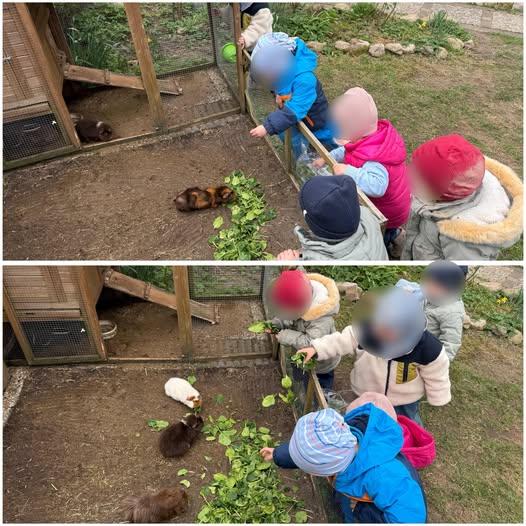 Mehr über den Artikel erfahren Unser kleiner Zoo wird auch gemeinschaftlich versorgt