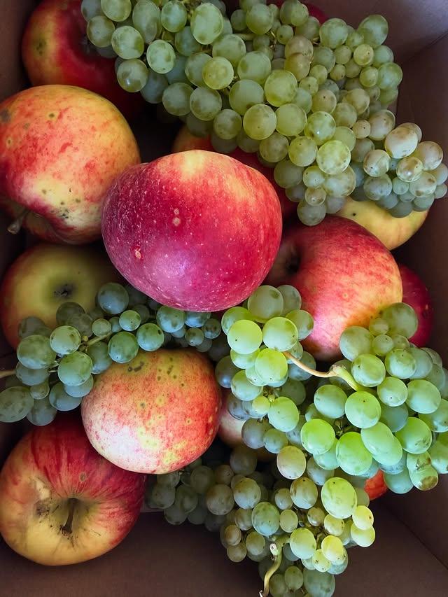 Mehr über den Artikel erfahren Wir machen Apfelmus selber!