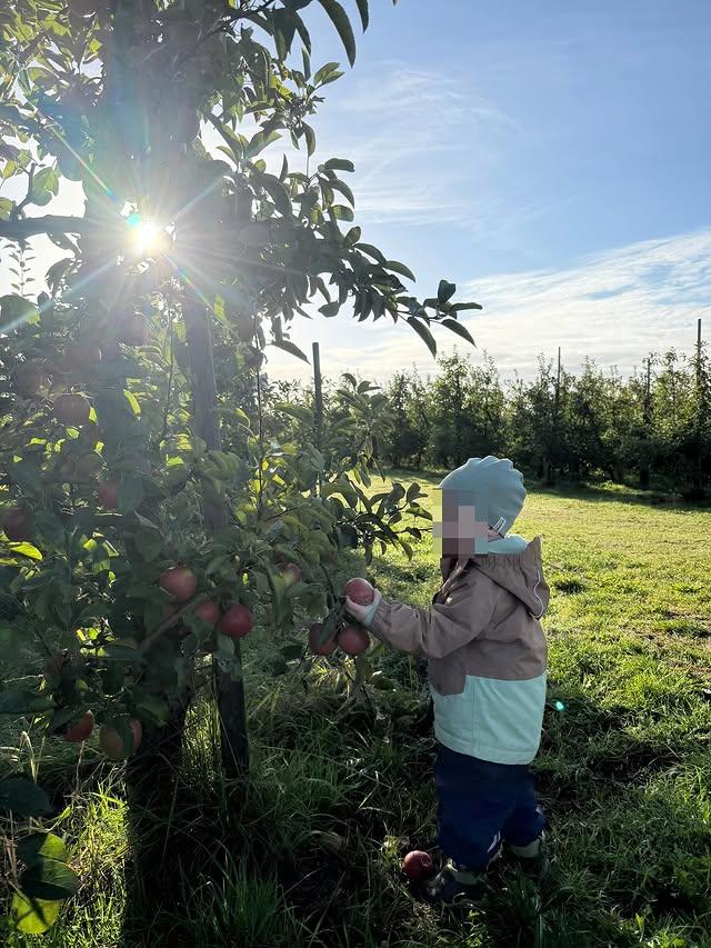 Mehr über den Artikel erfahren Wir besuchen einen Apfelhof