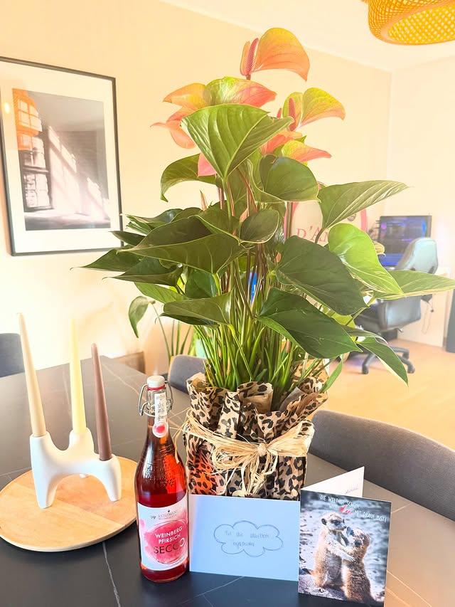 Mehr über den Artikel erfahren Abschied