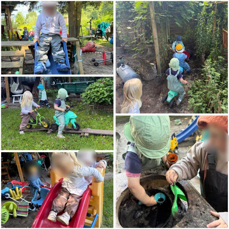 Mehr über den Artikel erfahren Schrebergarten