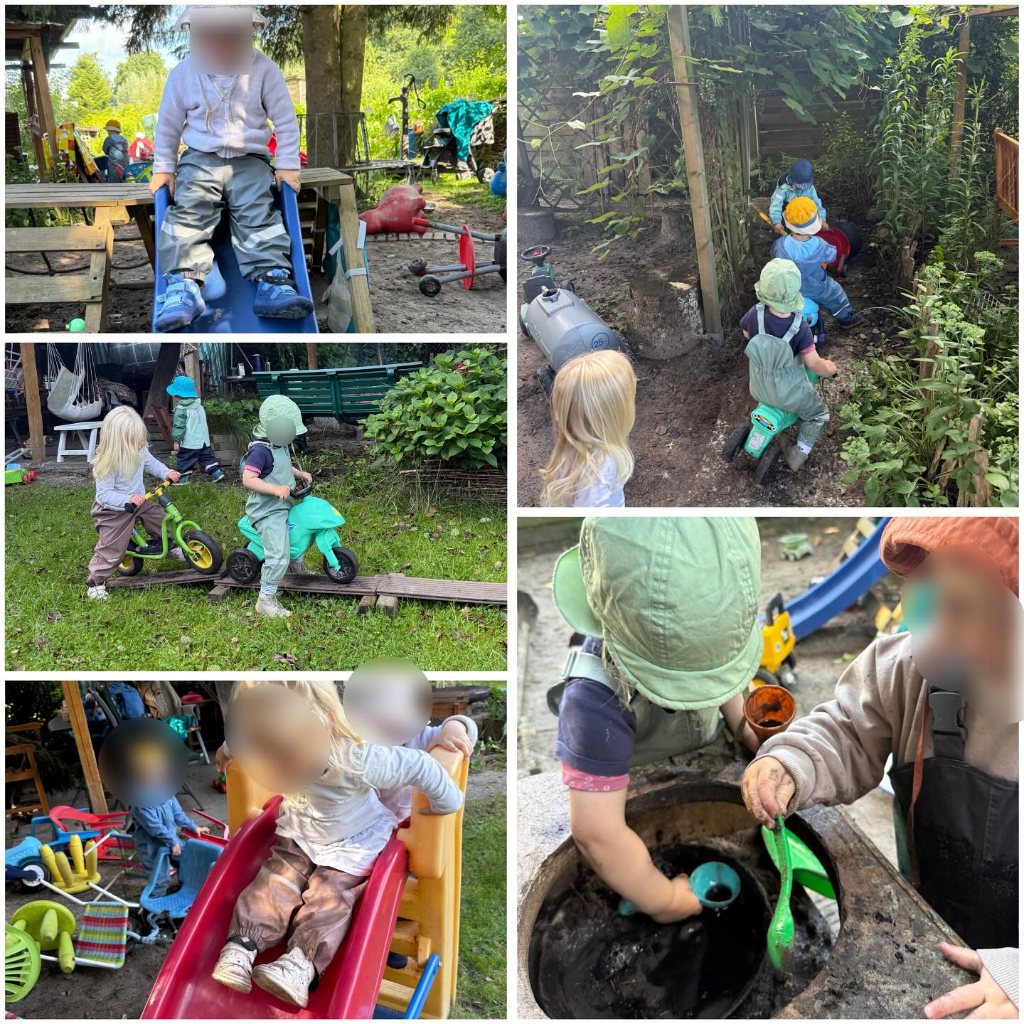 Mehr über den Artikel erfahren Schrebergarten