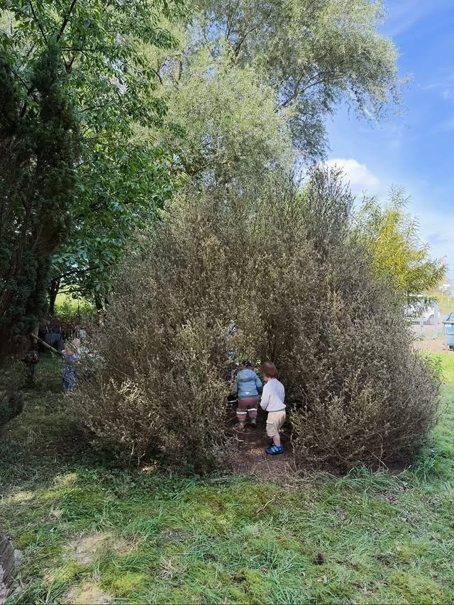 Mehr über den Artikel erfahren Schrebergarten