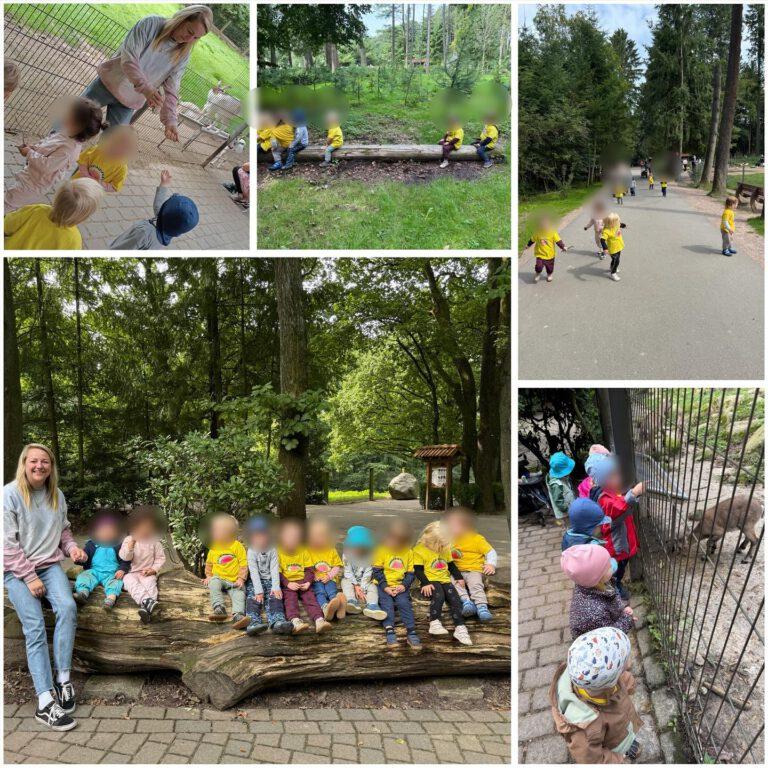 Mehr über den Artikel erfahren Unser Besuch im Wildpark