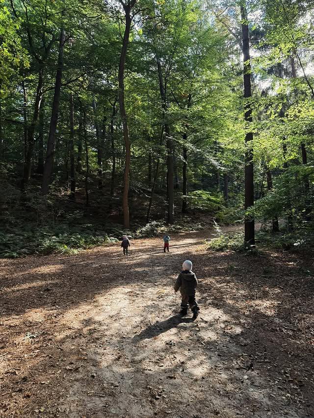 Mehr über den Artikel erfahren Wir besuchen den Waldkindergarten