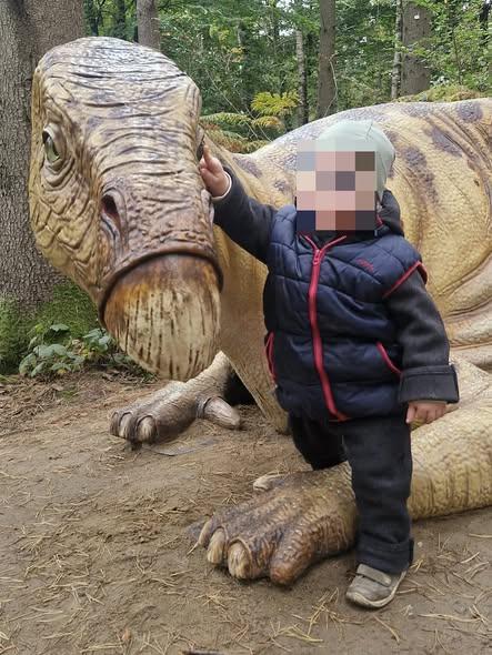Du betrachtest gerade Dinoland
