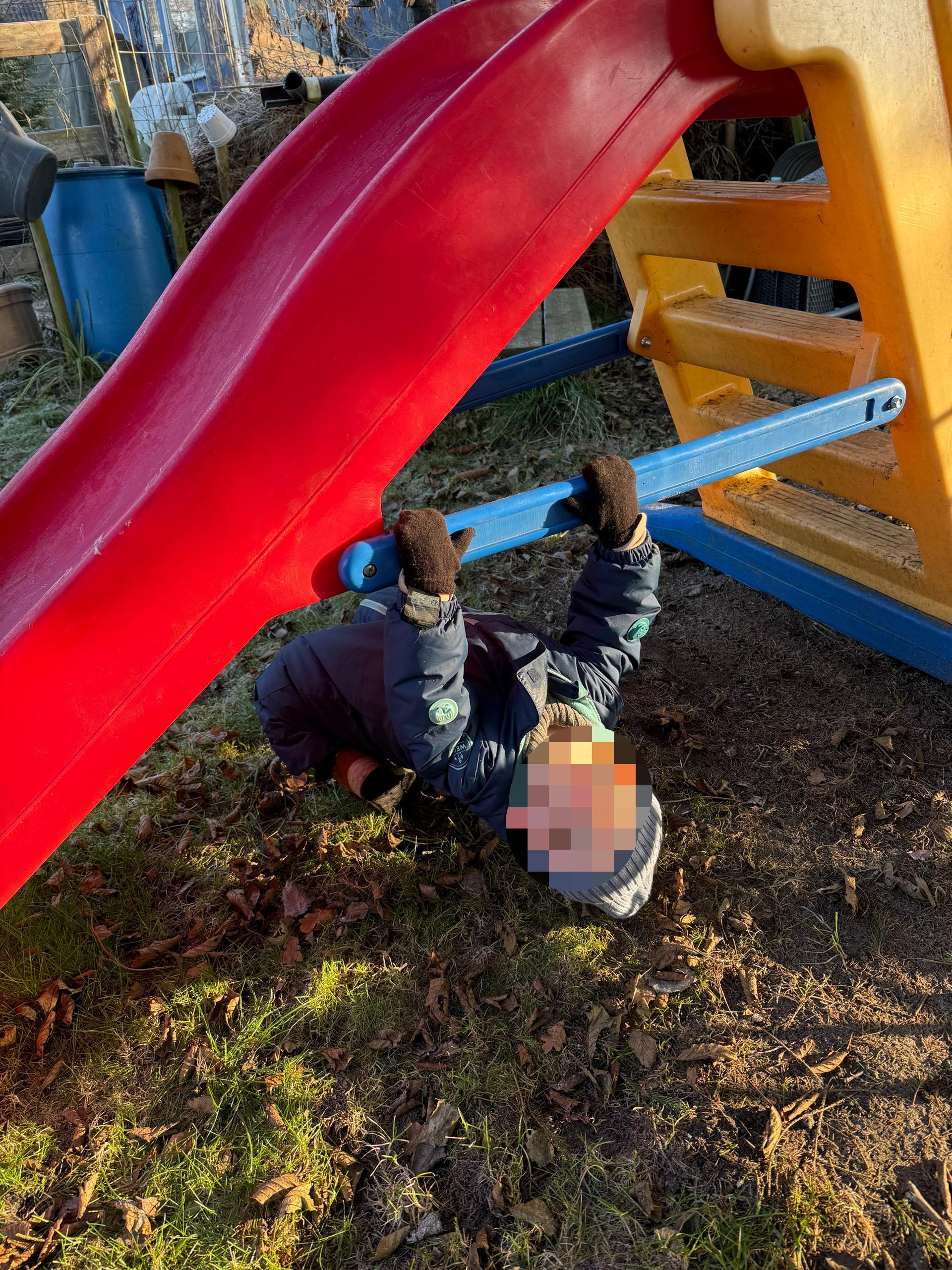 Du betrachtest gerade Schrebergarten