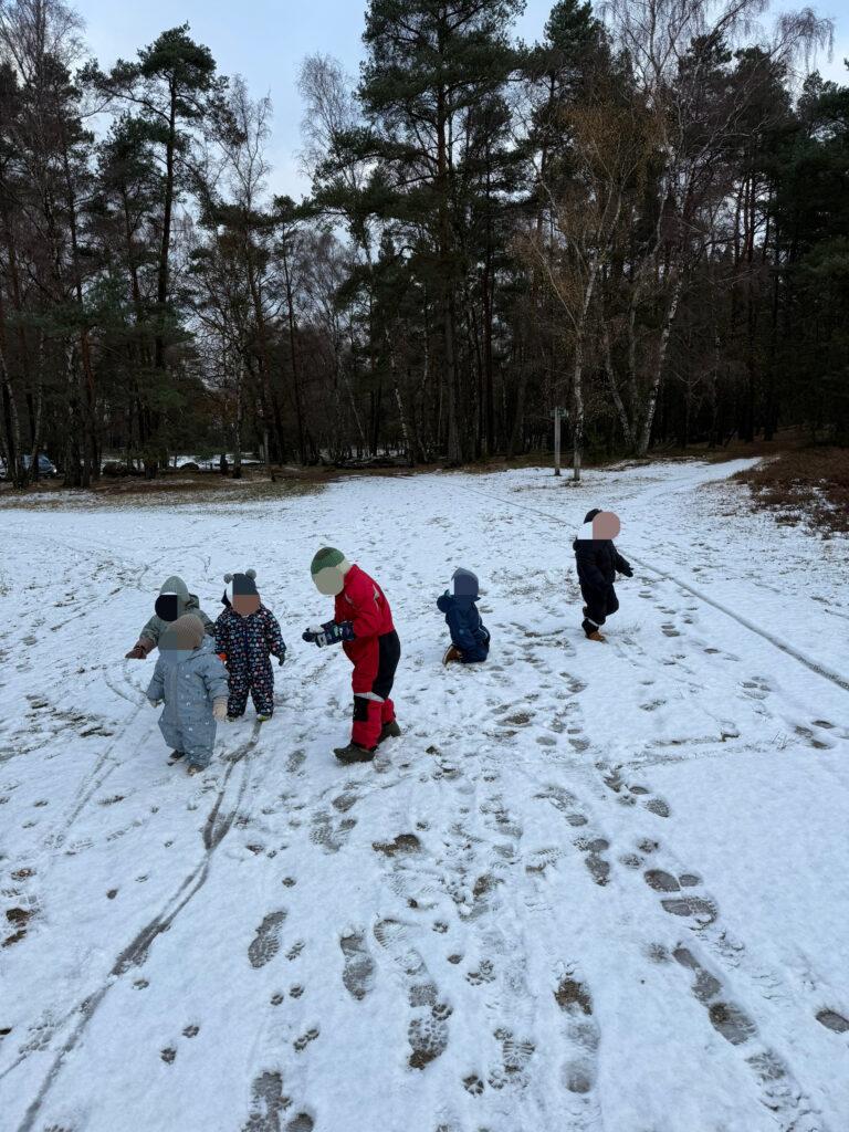 Mehr über den Artikel erfahren Der erste Schnee